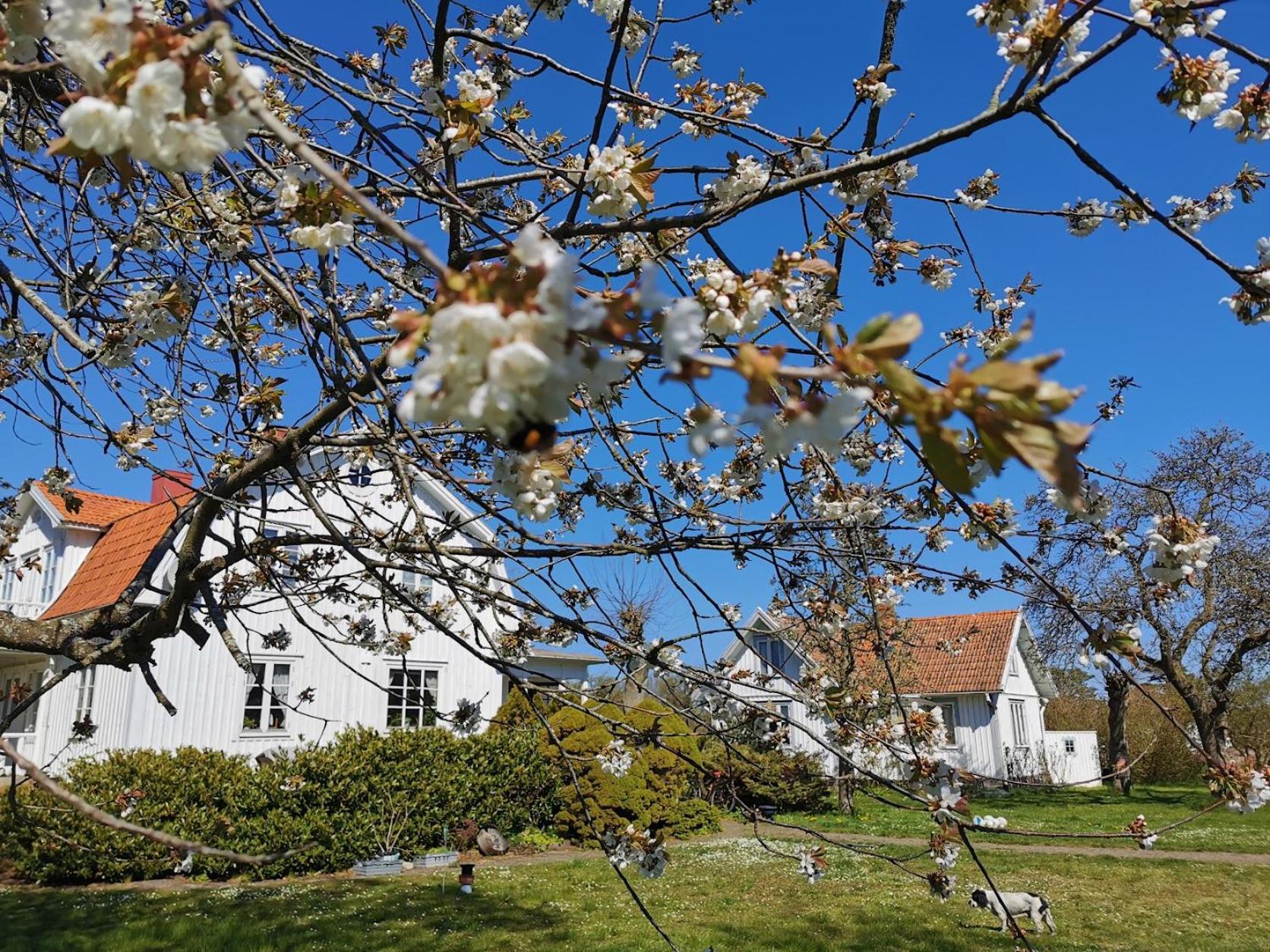 Vila Bond-Garden Fågelmara Exteriér fotografie