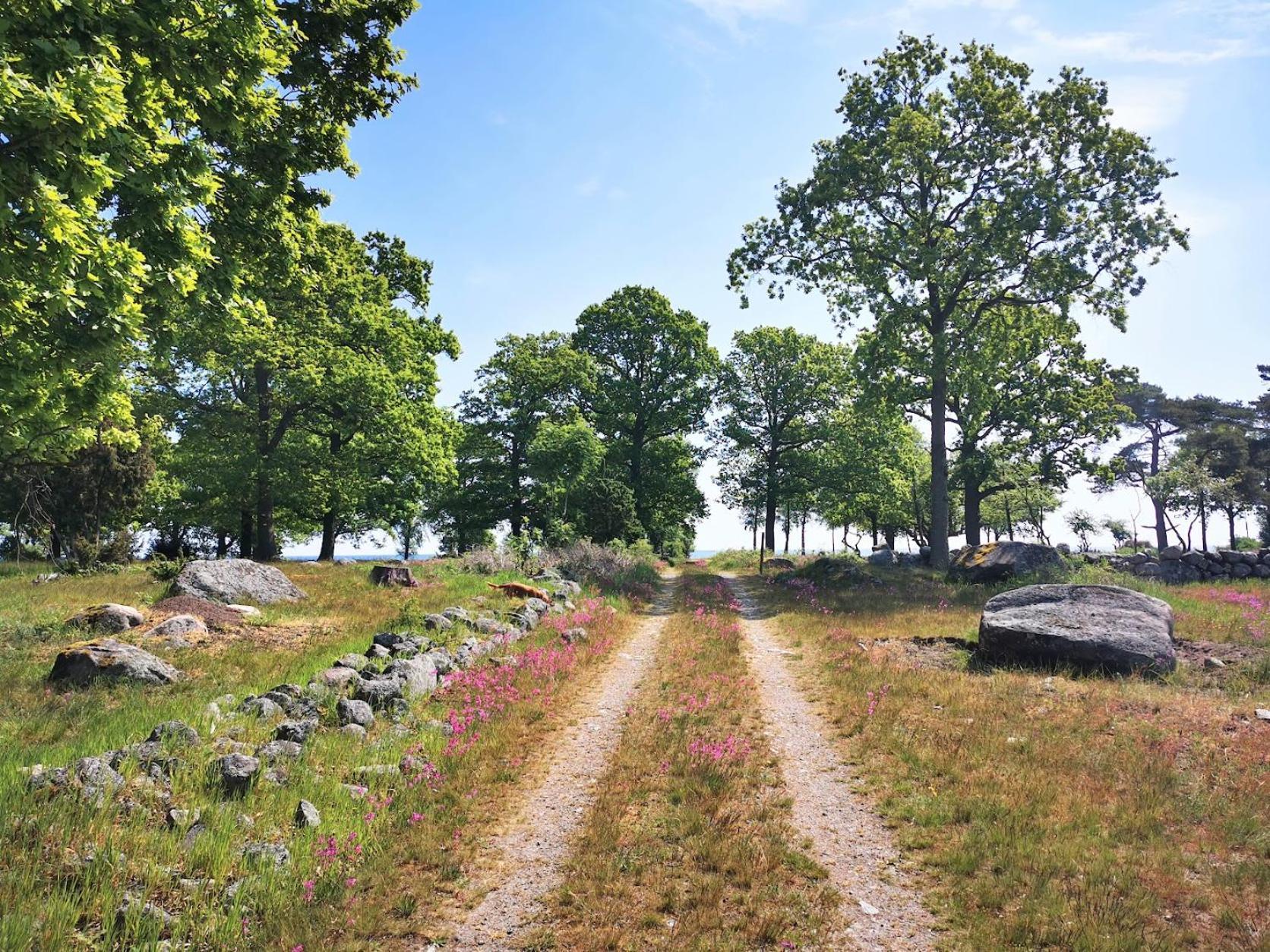 Vila Bond-Garden Fågelmara Exteriér fotografie